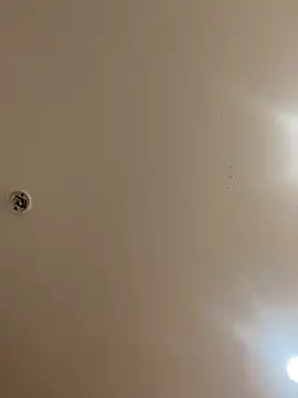 lemmylove666's cam snapshot