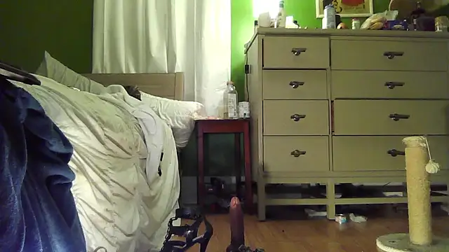 SadCatDaddy live sex cam