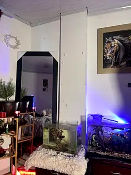 CRAZY-BOY99 live sex cam