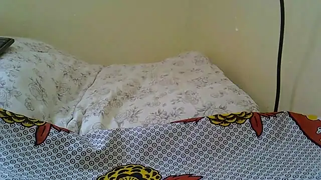 LaylowLee's cam snapshot