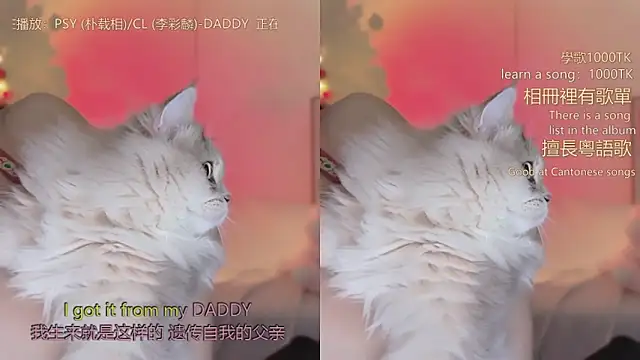 babykitty-'s cam snapshot