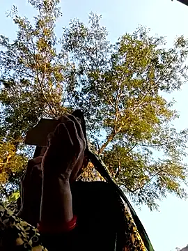 Cutsedi3's cam snapshot