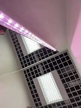 ElliRose live sex cam