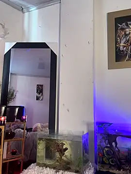 CRAZY-BOY99's cam snapshot