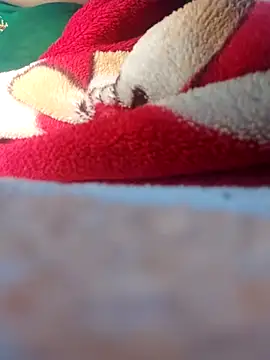 Sheela-Bhabi's cam snapshot