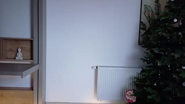 Deidi_sweet's cam snapshot