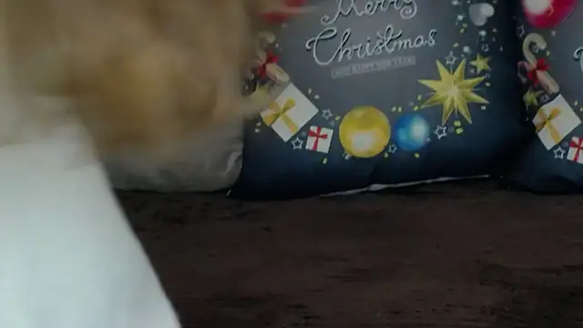 Brandy_Gem's cam snapshot