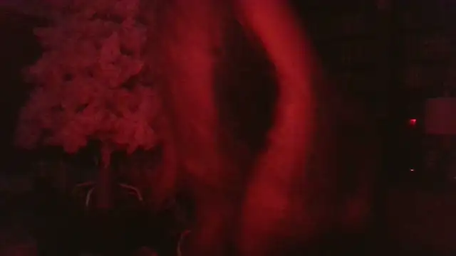 VenezuelaLuxeNoir's cam snapshot