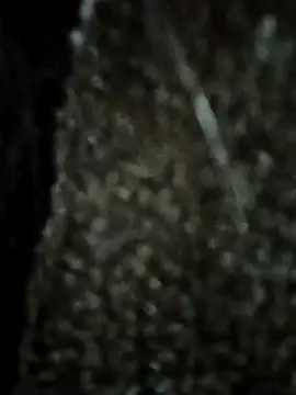 Laxmi_89 live sex cam