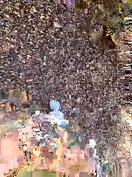 rezzzze live sex cam