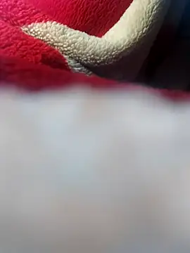 Sheela-Bhabi's cam snapshot