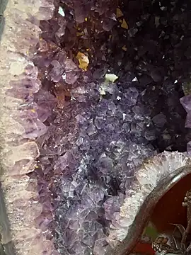 asianpublicboy live sex cam