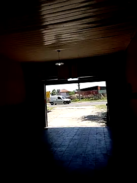 hecwil8 live sex cam