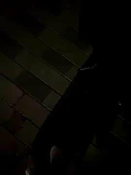 Ori-Lynk's cam snapshot