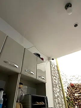 Val12777's cam snapshot