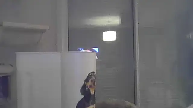 sexy007sexy's cam snapshot