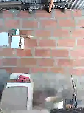 hoteder live sex cam