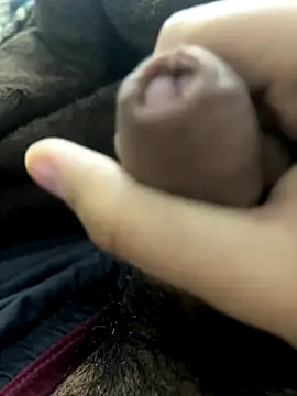 StickyTick's cam snapshot