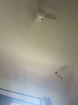 DaddySonBR live sex cam