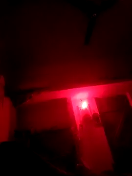 XPriti_x live sex cam