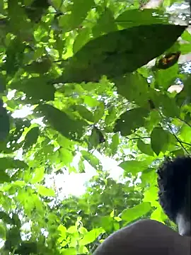 Andricastro live sex cam