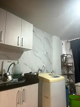 Freya_Artemisa's cam snapshot