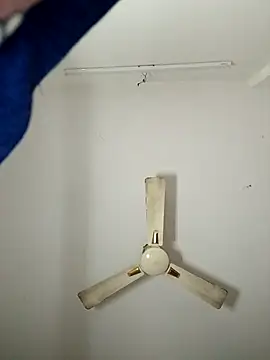 shilpa-singh live sex cam