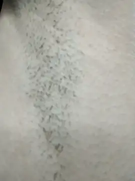 Gwen_Sweet's cam snapshot