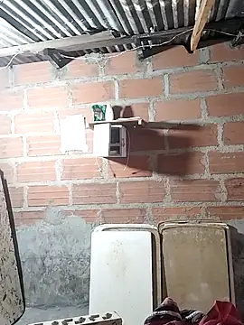 hoteder live sex cam