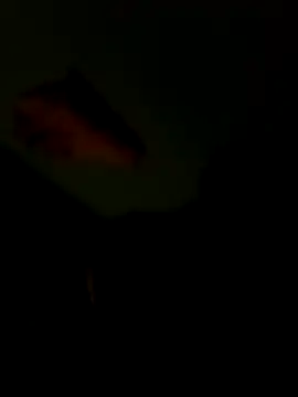 Raj41's cam snapshot