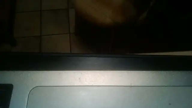 lolipopmaria's cam snapshot