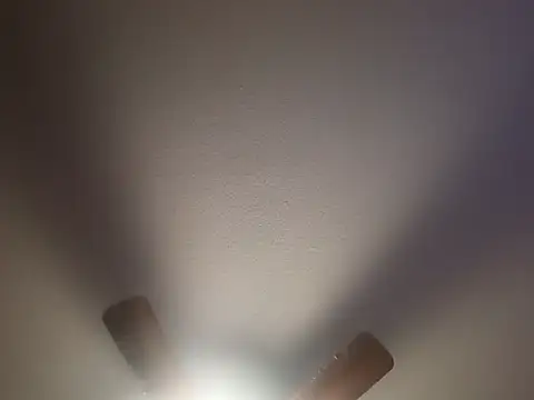 biggreen850 live sex cam