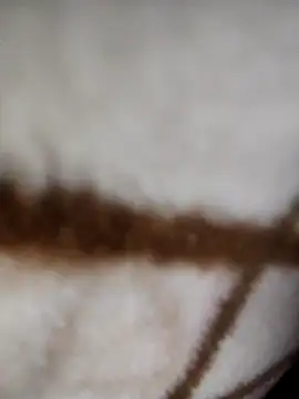 jiniya6789's cam snapshot