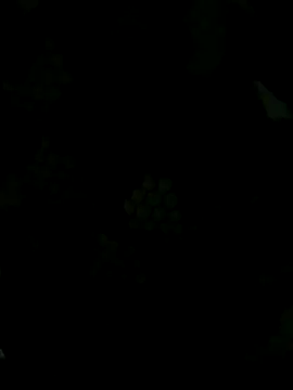 MonasticCanine's cam snapshot