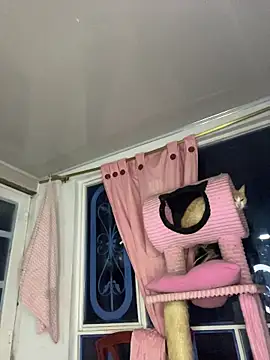 Violeet-Smith's cam snapshot