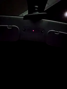 Roddog18 live sex cam