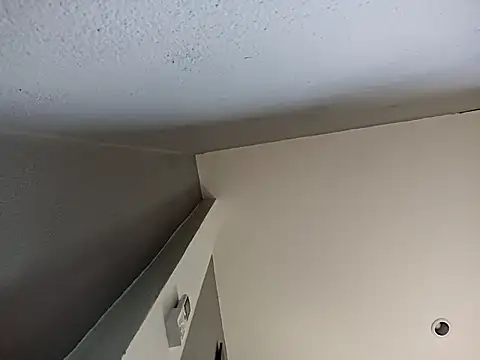 twitshe live sex cam