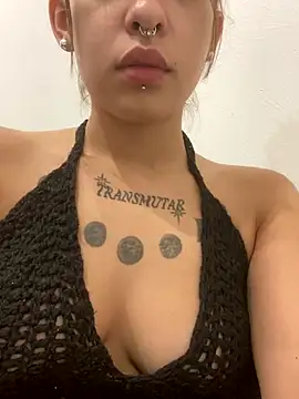 dreamvenus live sex cam