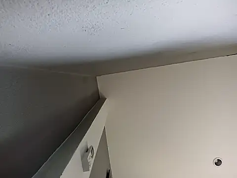 twitshe live sex cam