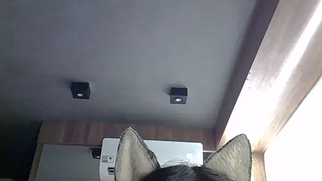 SkinnyKitten live sex cam