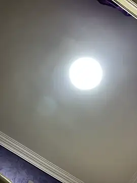 ElegantArab1 live sex cam