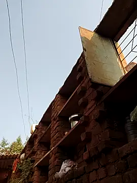 Co_punam live sex cam