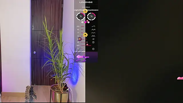 imsofi_kf's cam snapshot