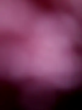 Gallo001 live sex cam