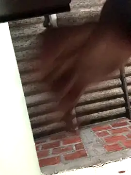 fran777775 live sex cam