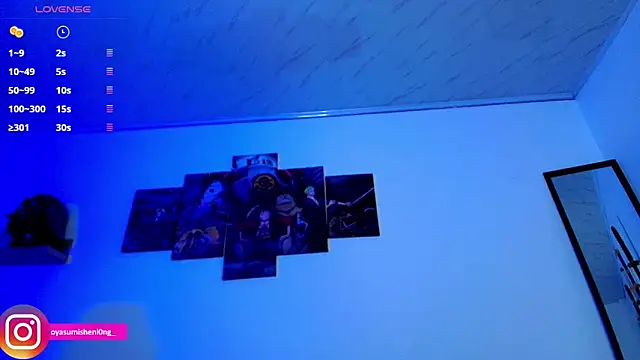 Nicorobinn's cam snapshot