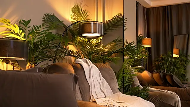 _keeti_ live sex cam