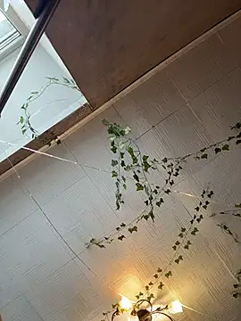 AmmyHot live sex cam