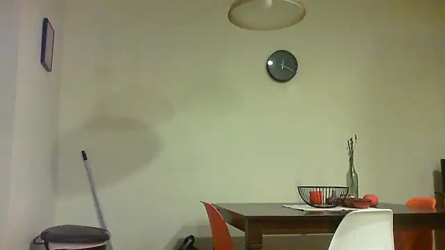 Prolapse_Pig's cam snapshot