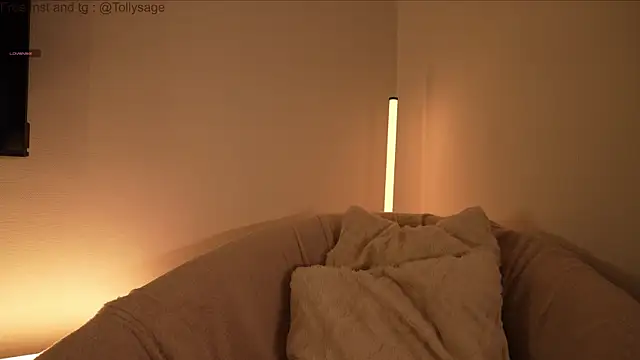 SenSage's cam snapshot